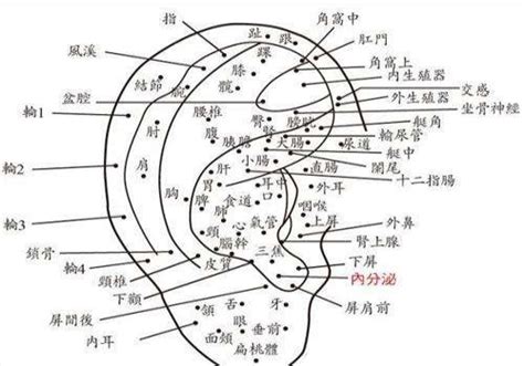 耳背有墨|耳朵长痣的位置图解 耳朵长痣的位置图解有福气